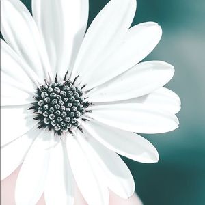 Meet your Posher, Rubi